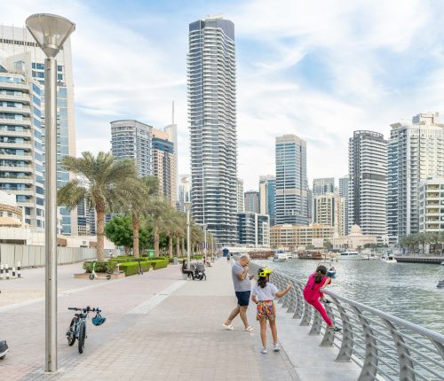 pexels-hugosykes-19350915